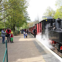 Bild Parkeisenbahn - Foto Cottbusverkehr/Parkeisenbahn Cottbus