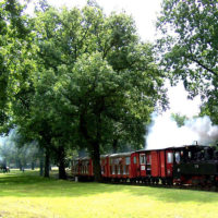 Bild Parkeisenbahn - Foto Cottbusverkehr/Parkeisenbahn Cottbus