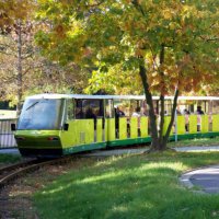 Bild Parkeisenbahn - Foto Cottbusverkehr/Parkeisenbahn Cottbus