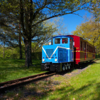 Bild Parkeisenbahn - Foto Cottbusverkehr/Parkeisenbahn Cottbus